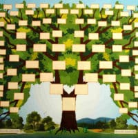 A7 Arbre généalogique 7 générations